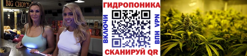 блэк спрут маркетплейс  Димитровград  Шишки марихуана MAZAR 